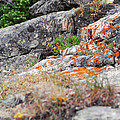 Rock of the Rockies