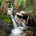 Rushing Through Aspens